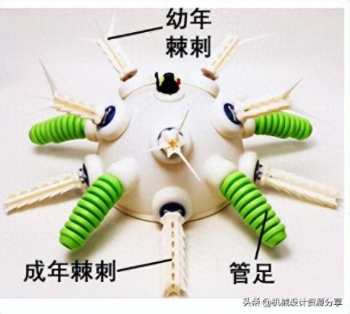 十大仿生机器人排行榜(仿生机器人免费观看)