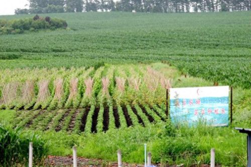 香坊区生态农场排名前十(成都生态农场排行榜)插图10 香坊区生态农场排名前十(成都生态农场排行榜)插图10