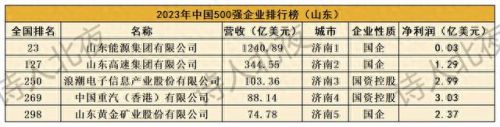 山东十大企业排行榜最新名单(山东芯片企业排名)插图5