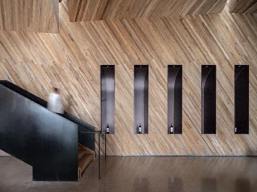 山西肉鸽销量排名前十(大熊养殖肉鸽)插图18 山西肉鸽销量排名前十(大熊养殖肉鸽)插图18