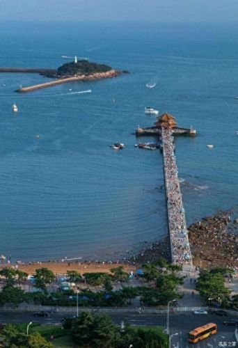 日照市十大企业富豪排行榜(日照十大富豪排名)插图10