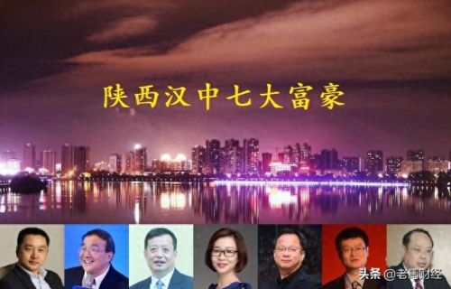 陕西汉中十大富豪排行榜(汉中十大首富排名)插图