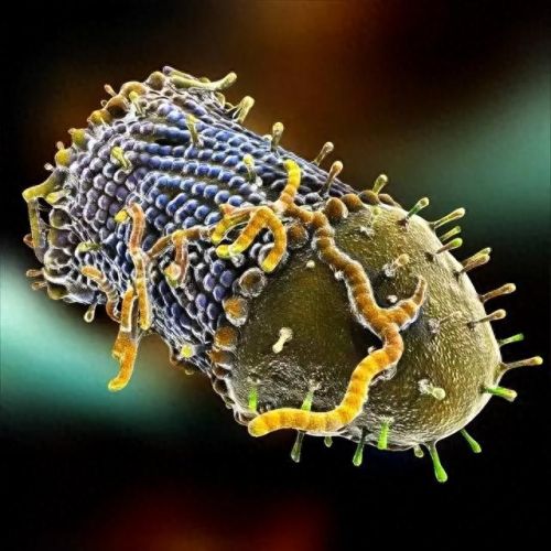 世界上的十大疾病排行榜(中年人常见的十大疾病)插图19 世界上的十大疾病排行榜(中年人常见的十大疾病)插图19