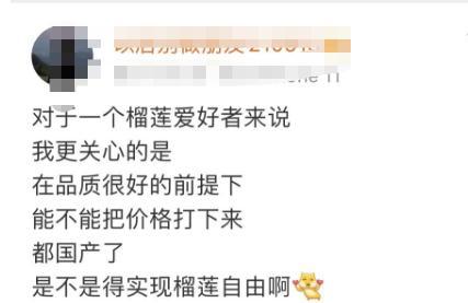 山西榴莲品种排名前十(山西主播榴莲)插图4 山西榴莲品种排名前十(山西主播榴莲)插图4