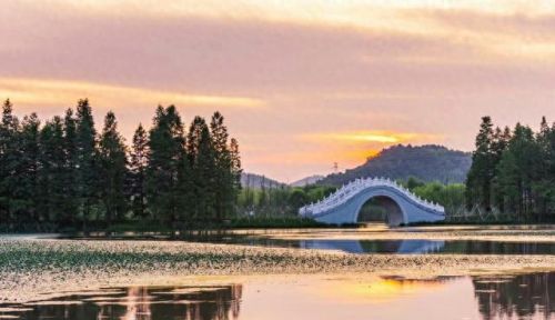 灵璧小区面积排名前十(2023灵璧高端小区排名)插图2 灵璧小区面积排名前十(2023灵璧高端小区排名)插图2