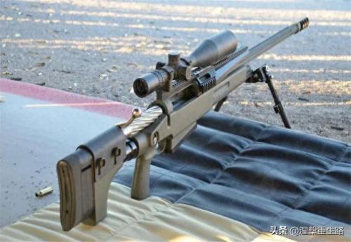 十大狙击枪射程排行榜图片(现代各种狙击枪介绍及图片)插图6