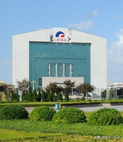 潍坊纯碱厂家排名前十(纯碱年产量最大的厂家)插图5 潍坊纯碱厂家排名前十(纯碱年产量最大的厂家)插图5