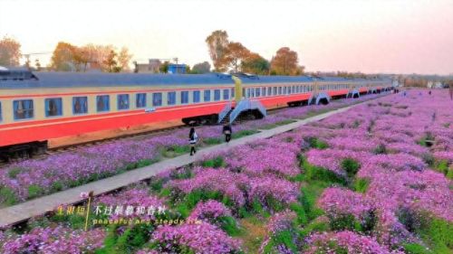 合肥夜景乐园排名前十(合肥融创乐园项目表)插图6 合肥夜景乐园排名前十(合肥融创乐园项目表)插图6