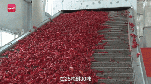 国内辣椒种植排名前十(各省种植辣椒量排名)插图8