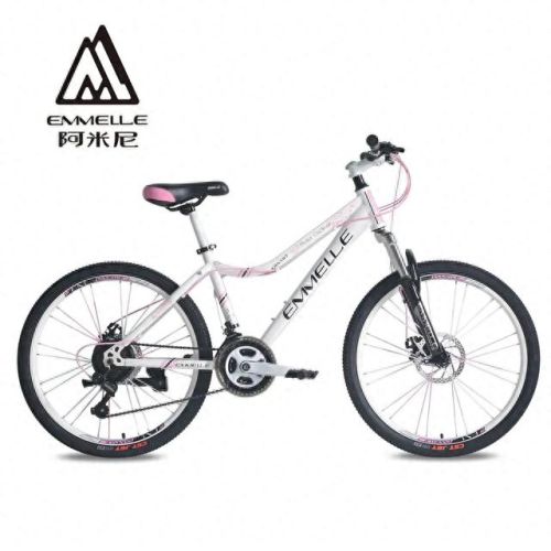 十大名牌自行车排行榜(哪个山地车品牌最好)