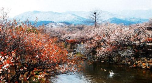 威海民居销售排名前十(威海城市全国排名)插图7 威海民居销售排名前十(威海城市全国排名)插图7