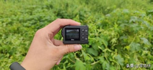 十大最美无人机排行榜最新(十大最好的平民无人机)插图5