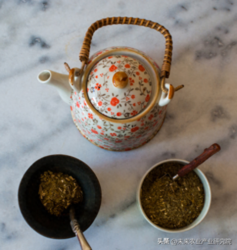 世界蔬果排名前十图片(世界粮食产量排名)插图2 世界蔬果排名前十图片(世界粮食产量排名)插图2