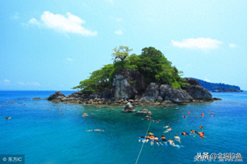 海钓专用鱼船排名前十(东莞海钓场排名)插图5