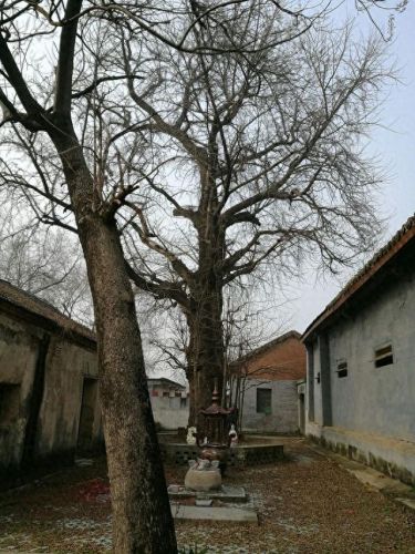 江北旅游村庄排名前十(宁波江北洪塘最大的村庄)插图58 江北旅游村庄排名前十(宁波江北洪塘最大的村庄)插图58