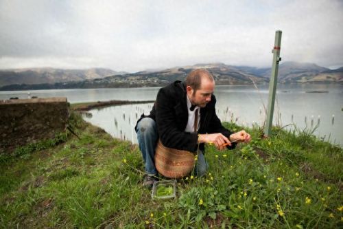 奥克兰最佳餐馆排名前十(奥克兰餐厅排行榜)插图9 奥克兰最佳餐馆排名前十(奥克兰餐厅排行榜)插图9