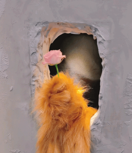 沈阳氛围小店排名前十(沈阳好吃的小店推荐)插图12