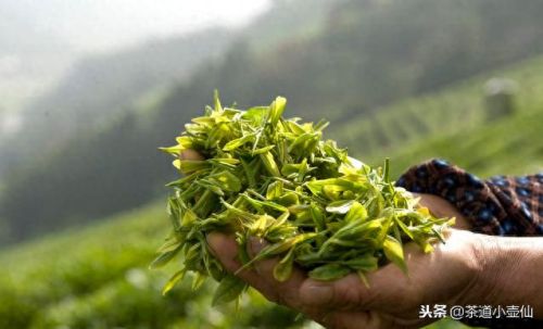 贵州省十大名茶排行榜(贵州十大特产)插图2