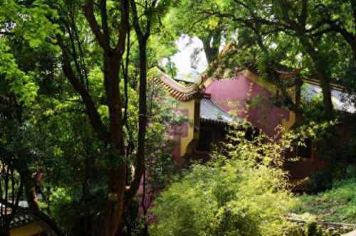 东莞冷门景点排名前十(东莞厚街十大旅游景点)插图8 东莞冷门景点排名前十(东莞厚街十大旅游景点)插图8