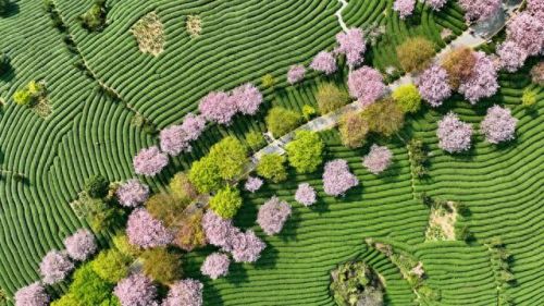 太阳系十大景区排行榜图(全国十大景区排名)插图7