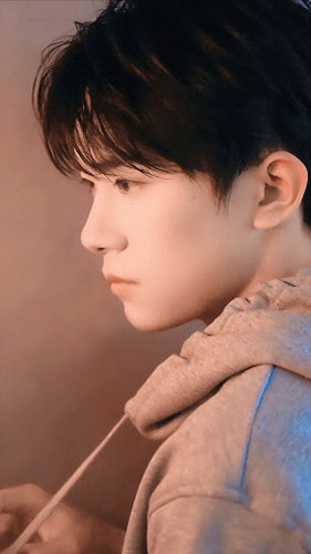 很火的十大男明星排行榜(中国最火的十大男明星)插图9