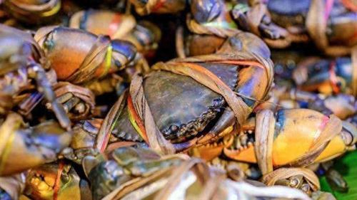 温州清香白酒排名前十(清香白酒排名前十名)插图8