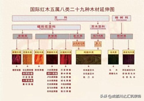 红木十大排行榜刺猬紫檀(红木排名顺口溜)插图