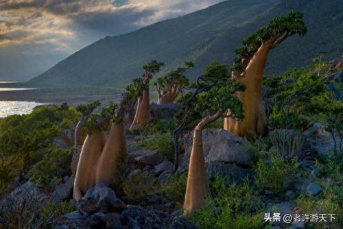 国内沙漠古城排名前十(青海所有沙漠排名)插图51 国内沙漠古城排名前十(青海所有沙漠排名)插图51