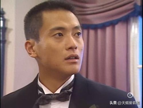 港剧十大警花排名前十(最好评十大港剧)插图2 港剧十大警花排名前十(最好评十大港剧)插图2