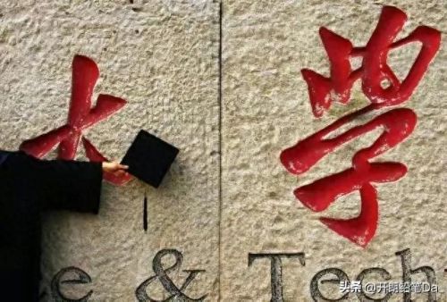 好专业排行榜前十大专(大专药学专业可以考什么证)