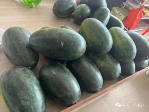 西瓜品种大小十大排行榜(露天西瓜哪个品种好)插图19