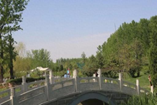 曲阳十大网红排行榜名单(曲阳十大网红是谁)插图6