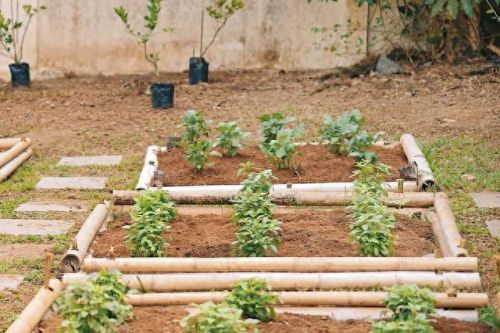 曼谷安全酒店排名前十(泡泡玛特曼谷开业)插图32 曼谷安全酒店排名前十(泡泡玛特曼谷开业)插图32