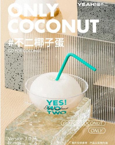 山西椰子厂商排名前十(椰子450)插图3 山西椰子厂商排名前十(椰子450)插图3