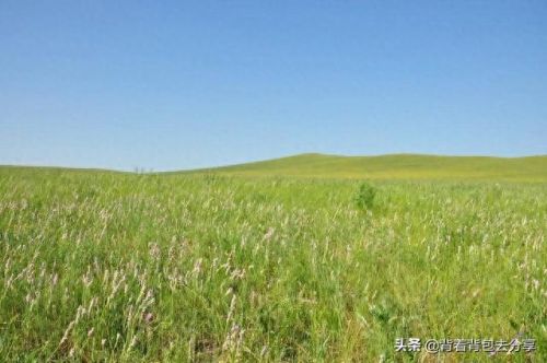 内蒙古十大旅游景区排行榜(内蒙古十大湖排名)插图5