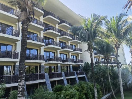 琼海亲子游十大排行榜(琼海过冬真实感受)插图19 琼海亲子游十大排行榜(琼海过冬真实感受)插图19