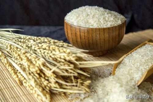 十大米品牌排行榜10强(大米排名第一的牌子)插图1