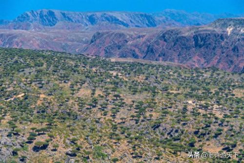 国内沙漠古城排名前十(青海所有沙漠排名)插图49 国内沙漠古城排名前十(青海所有沙漠排名)插图49
