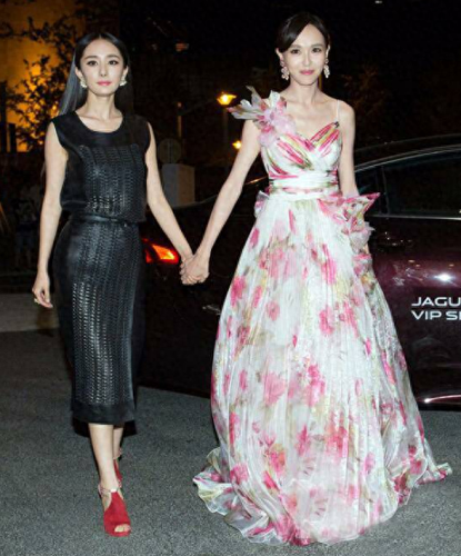 中国十大女明星闺蜜排行榜(世界十大美女明星)插图3