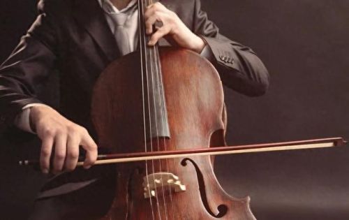 大提琴十大排行榜(世界排名前十大提琴)插图 大提琴十大排行榜(世界排名前十大提琴)插图