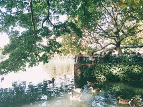 巴黎野餐地方排名前十(巴黎十大景点排名)插图4 巴黎野餐地方排名前十(巴黎十大景点排名)插图4