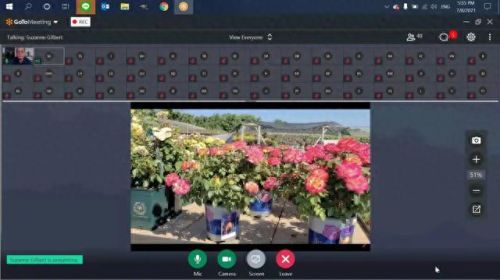 国外花盆公司排名前十(花盆品牌十大排名)插图1