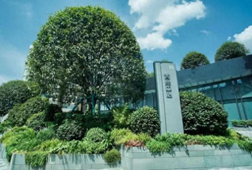 国风顶级豪宅排名前十(重庆香港置地国风豪宅)插图8