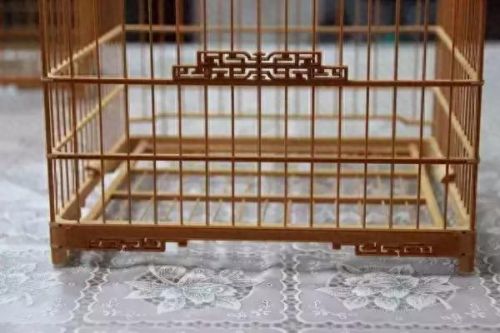 十大收藏家排行榜名单图片(收藏家精品视频)插图12