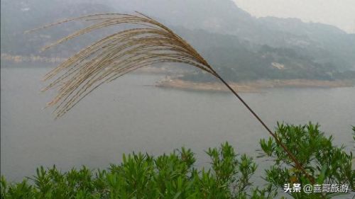 东兴景点大全排名前十(东兴到德天景点自驾游)插图6 东兴景点大全排名前十(东兴到德天景点自驾游)插图6