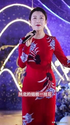 网红十大老歌手排行榜(男生歌手网红)插图11 网红十大老歌手排行榜(男生歌手网红)插图11