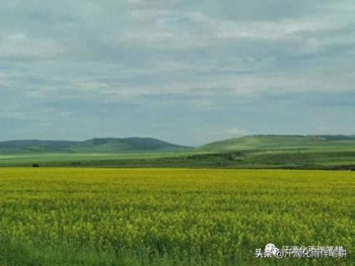 渭南草原面积排名前十(渭南城区面积多大)插图2 渭南草原面积排名前十(渭南城区面积多大)插图2