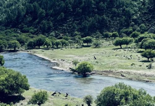 云南木雕酒店排名前十(云南婕珞芙酒店)插图28 云南木雕酒店排名前十(云南婕珞芙酒店)插图28