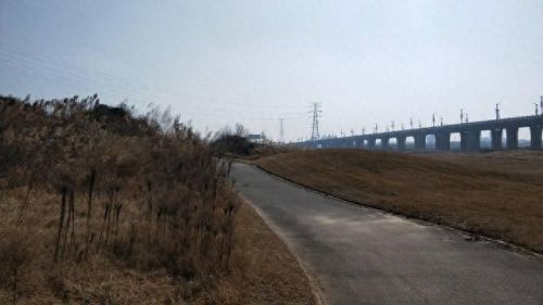 西安遛狗公司排名前十(西安遛狗事件最新消息)插图10 西安遛狗公司排名前十(西安遛狗事件最新消息)插图10