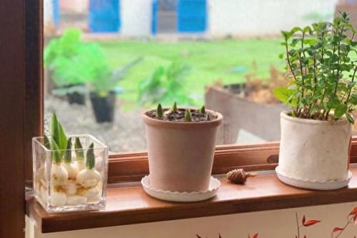 新疆十大咖啡馆排行榜图片(新疆十大著名旅游景点)插图22